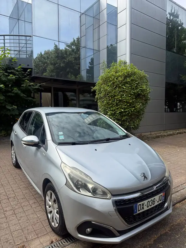 PEUGEOT     208