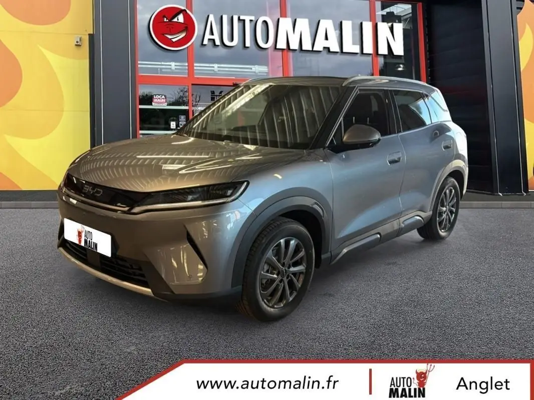 BYD  ATTO 2