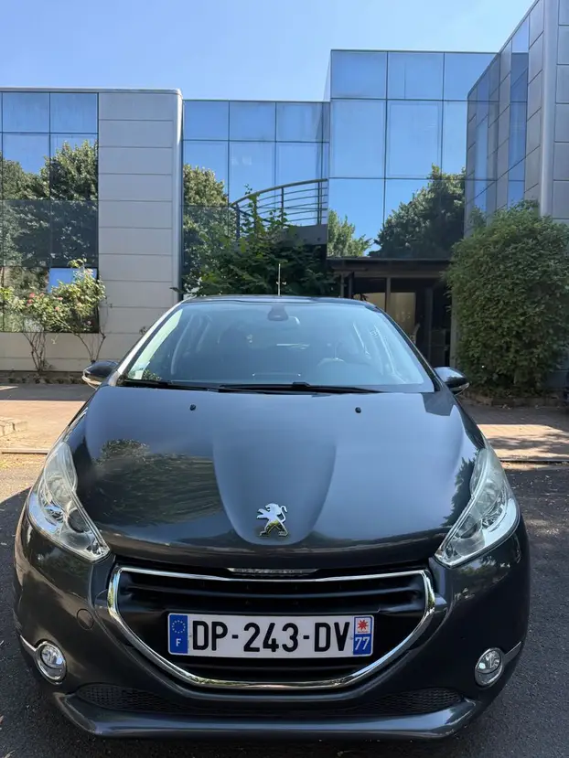 PEUGEOT     208