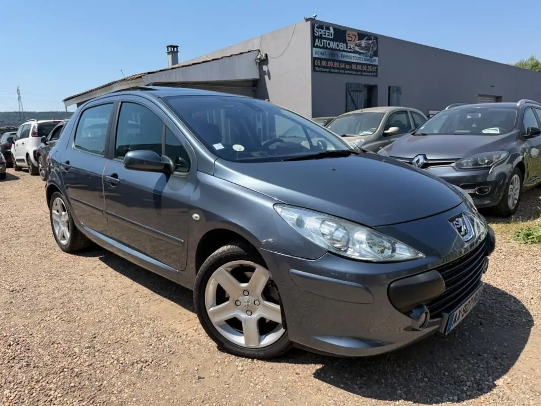 PEUGEOT    307 SW